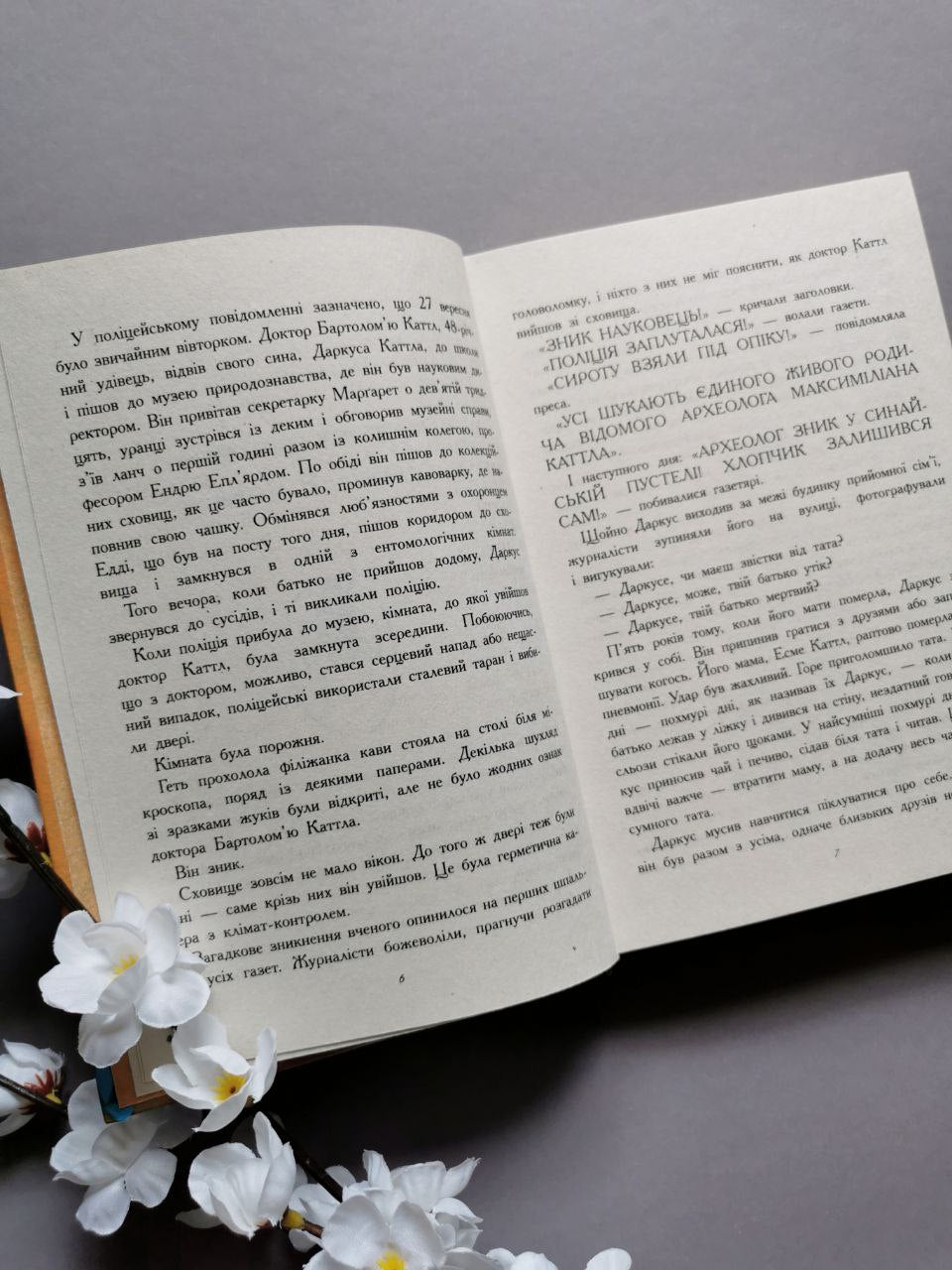 Битва жуків: Хлопчик жук