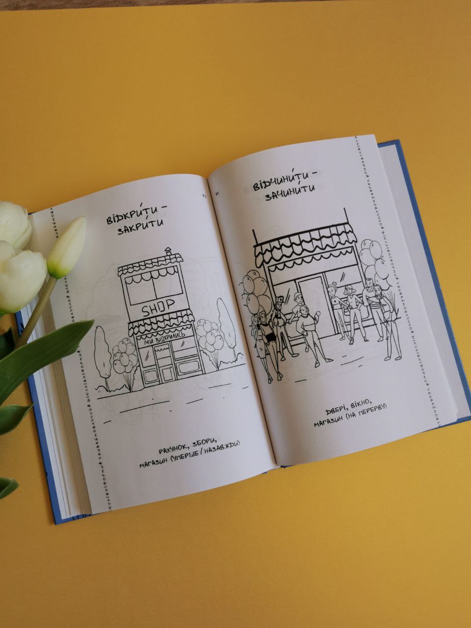Візуалізований довідник. Уживаймо влучно, або Як уникнути найпоширеніших помилок