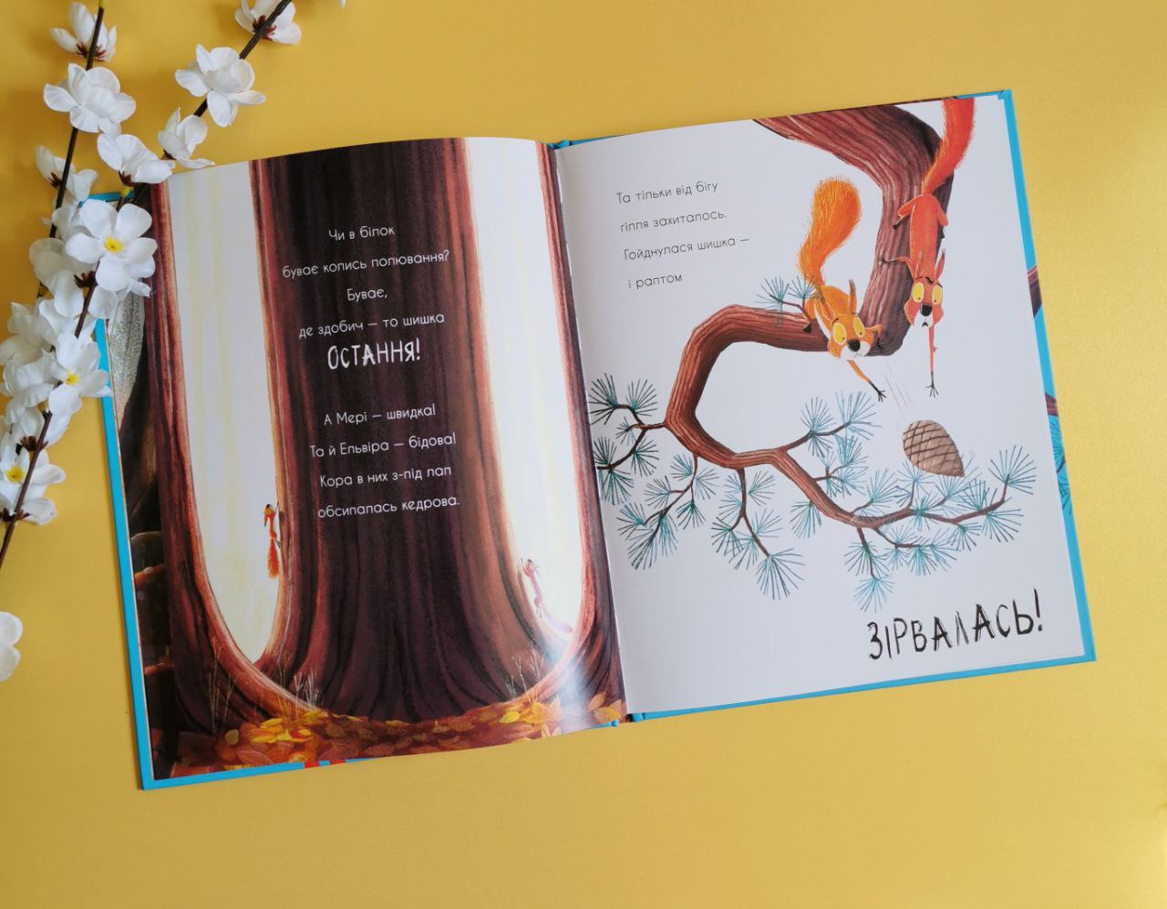 Маленькі історії про чудеса та дружбу : Дві білки і шишка з гілки