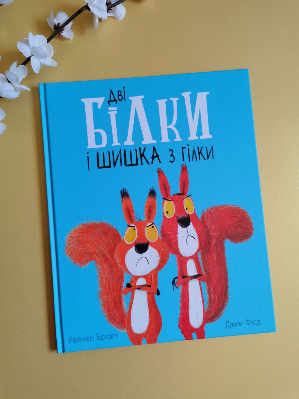 Маленькі історії про чудеса та дружбу : Дві білки і шишка з гілки