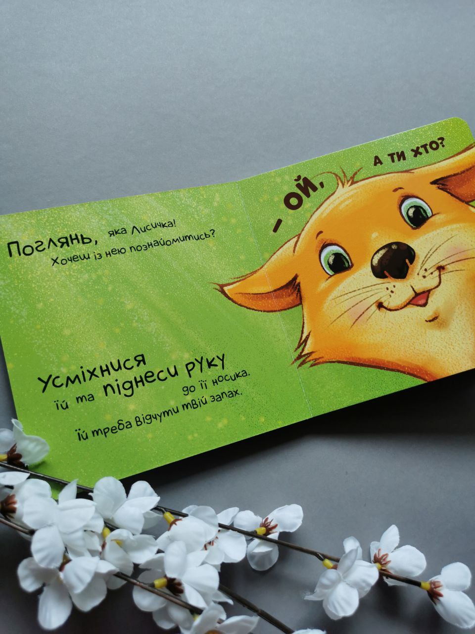 Контактна книжка : Нумо дружити!