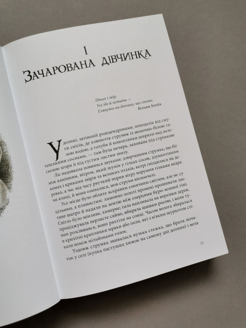 Янтарний телескоп