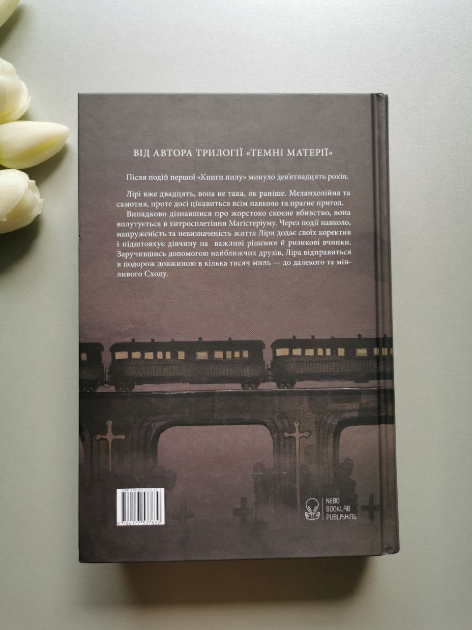 Книга 2. Книга пилу. Таємна спільнота