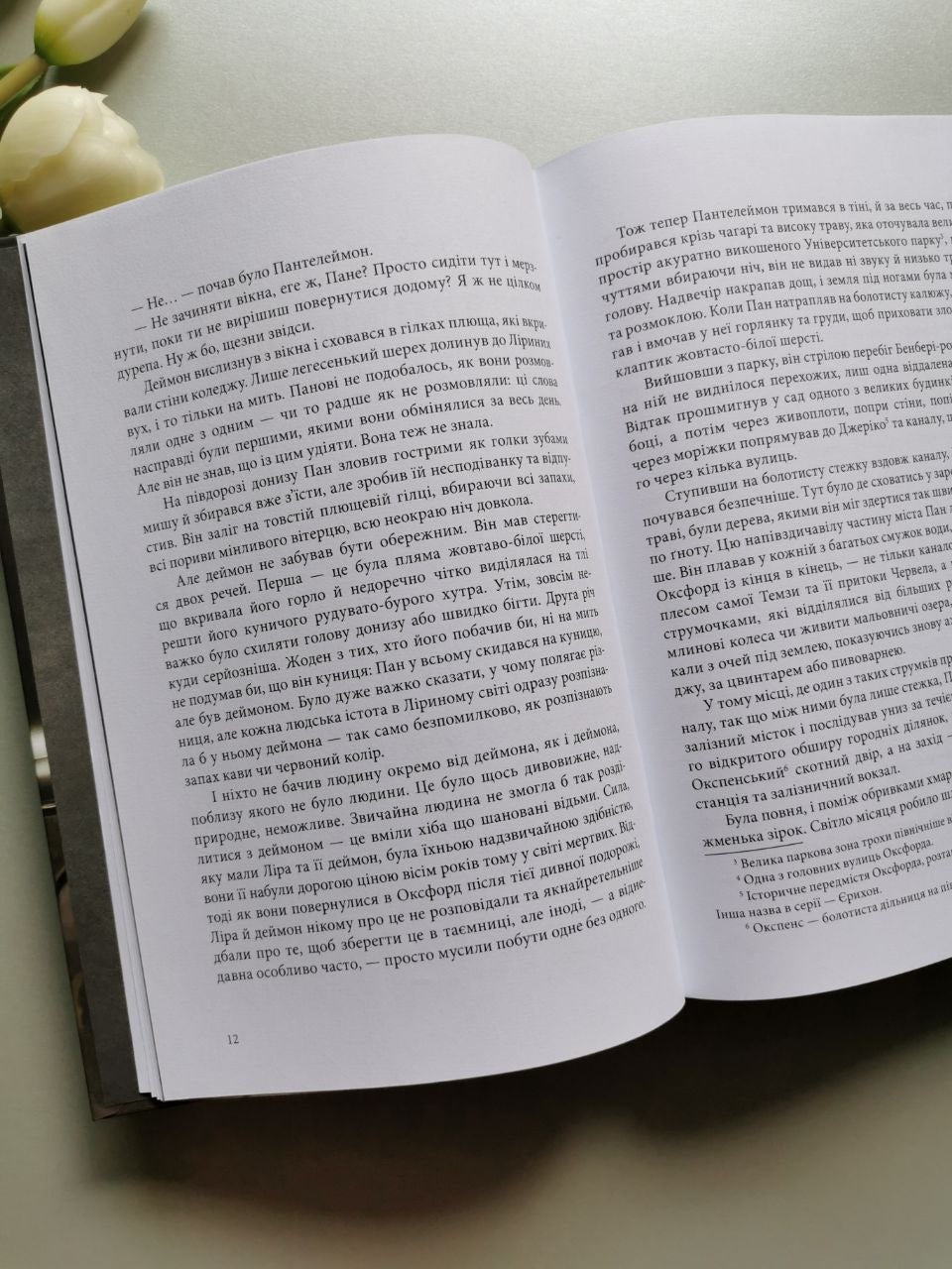 Книга 2. Книга пилу. Таємна спільнота