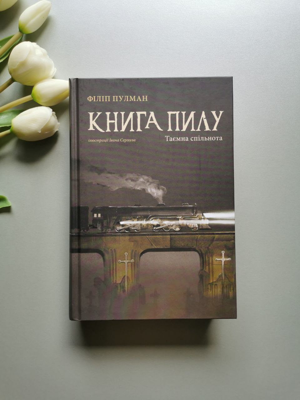 Книга 2. Книга пилу. Таємна спільнота