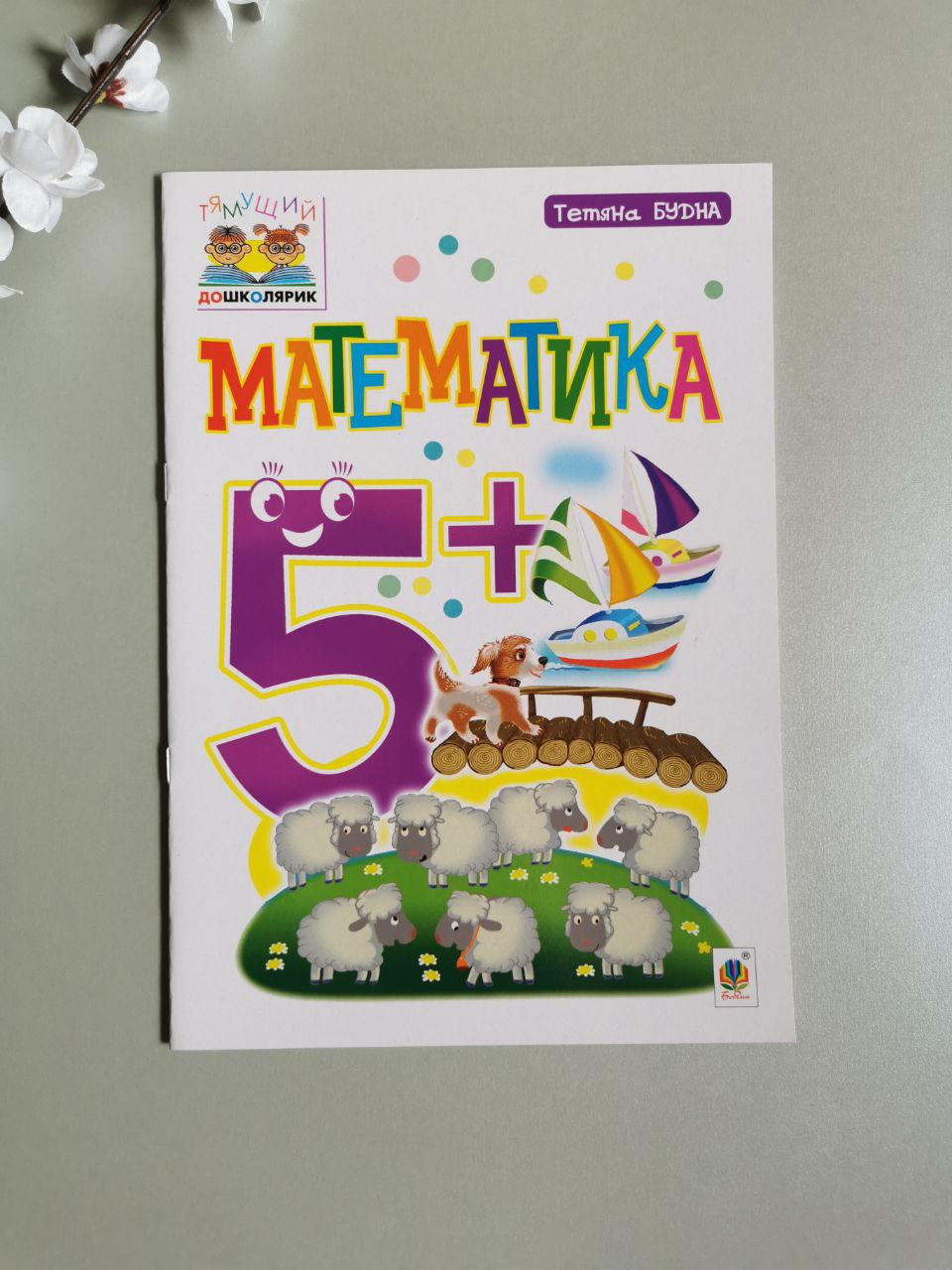 Математика : 5+