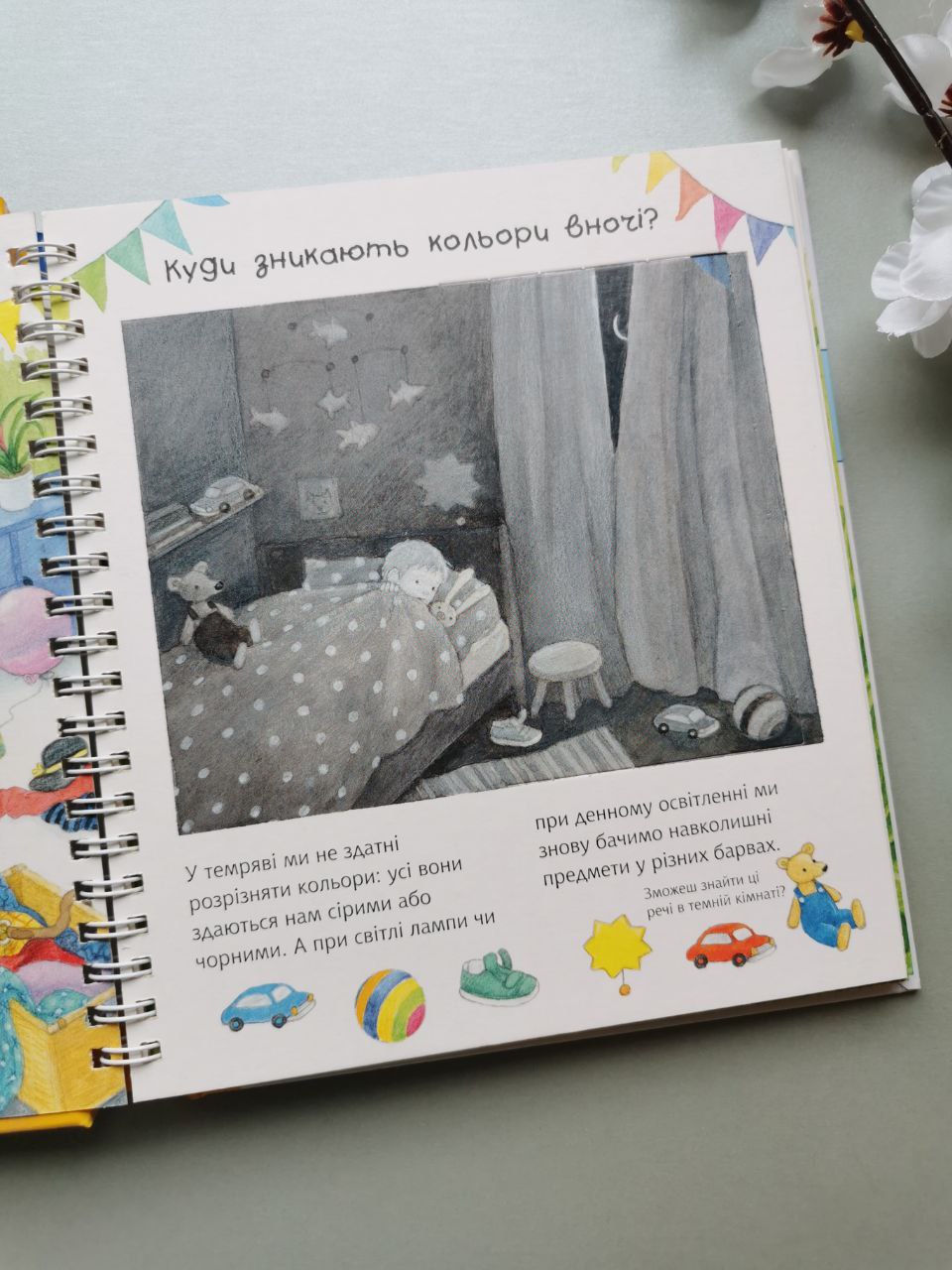 Чому? Чого? Навіщо? Який це колір? 2-4 роки