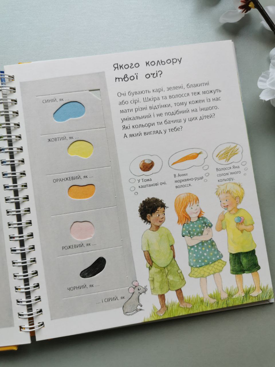 Чому? Чого? Навіщо? Який це колір? 2-4 роки
