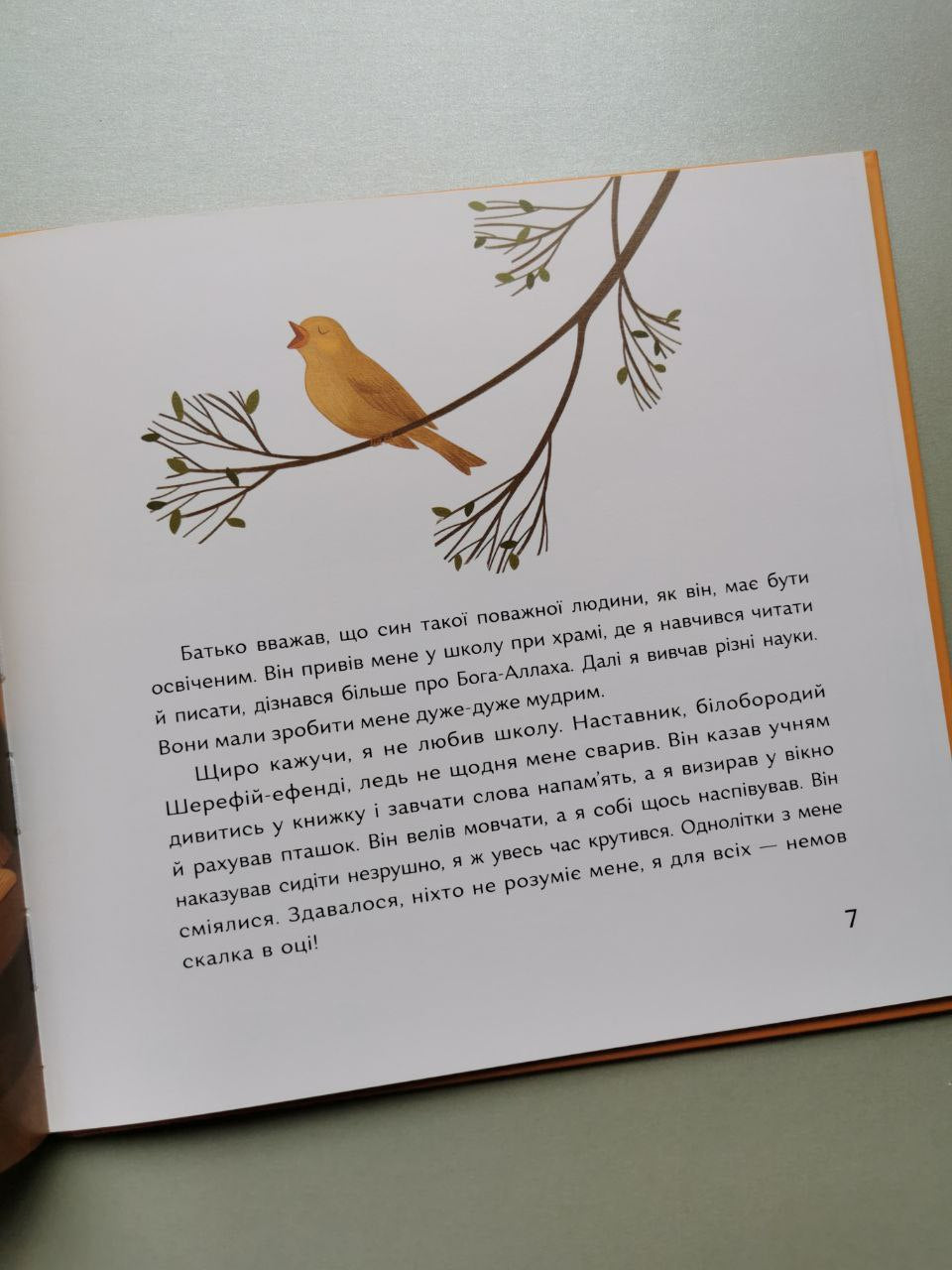 Книга "Ашик Омер"
