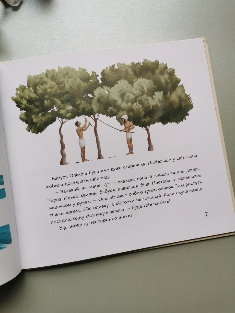 Книга "Кісточка оливи"