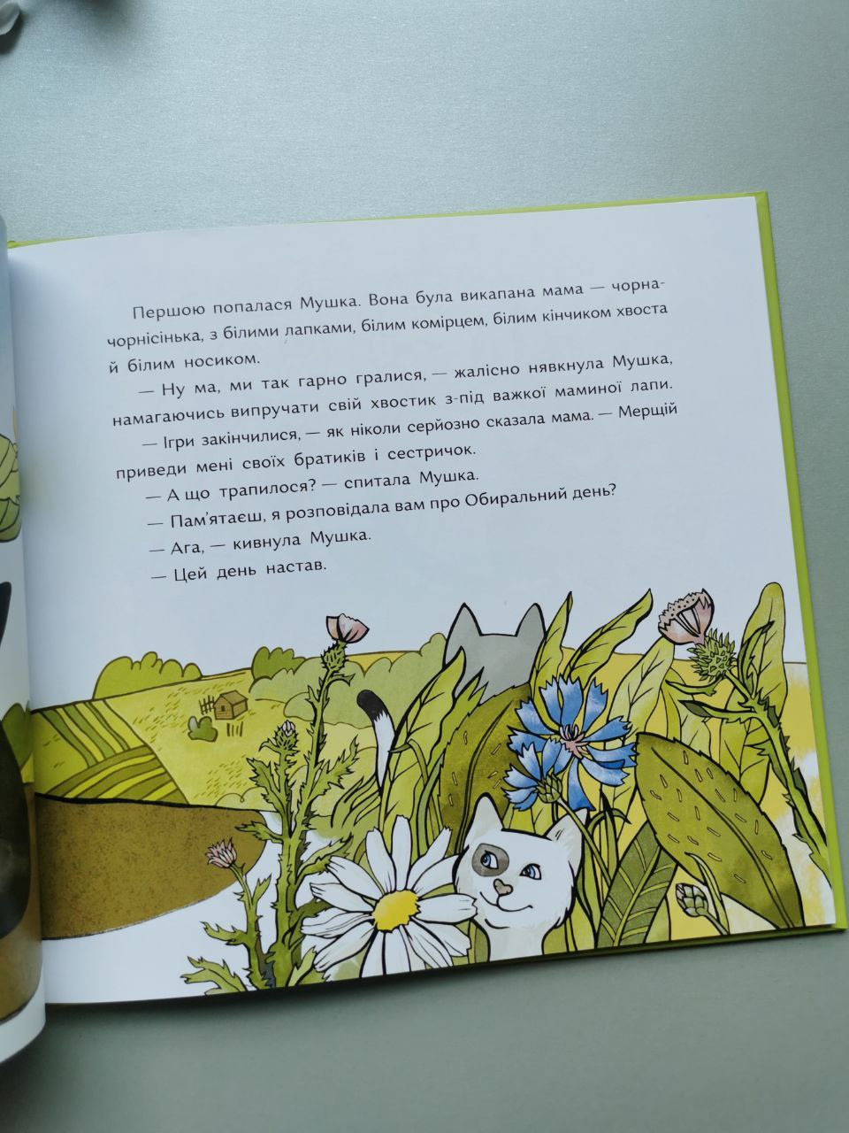 Книга "Обиральний день"