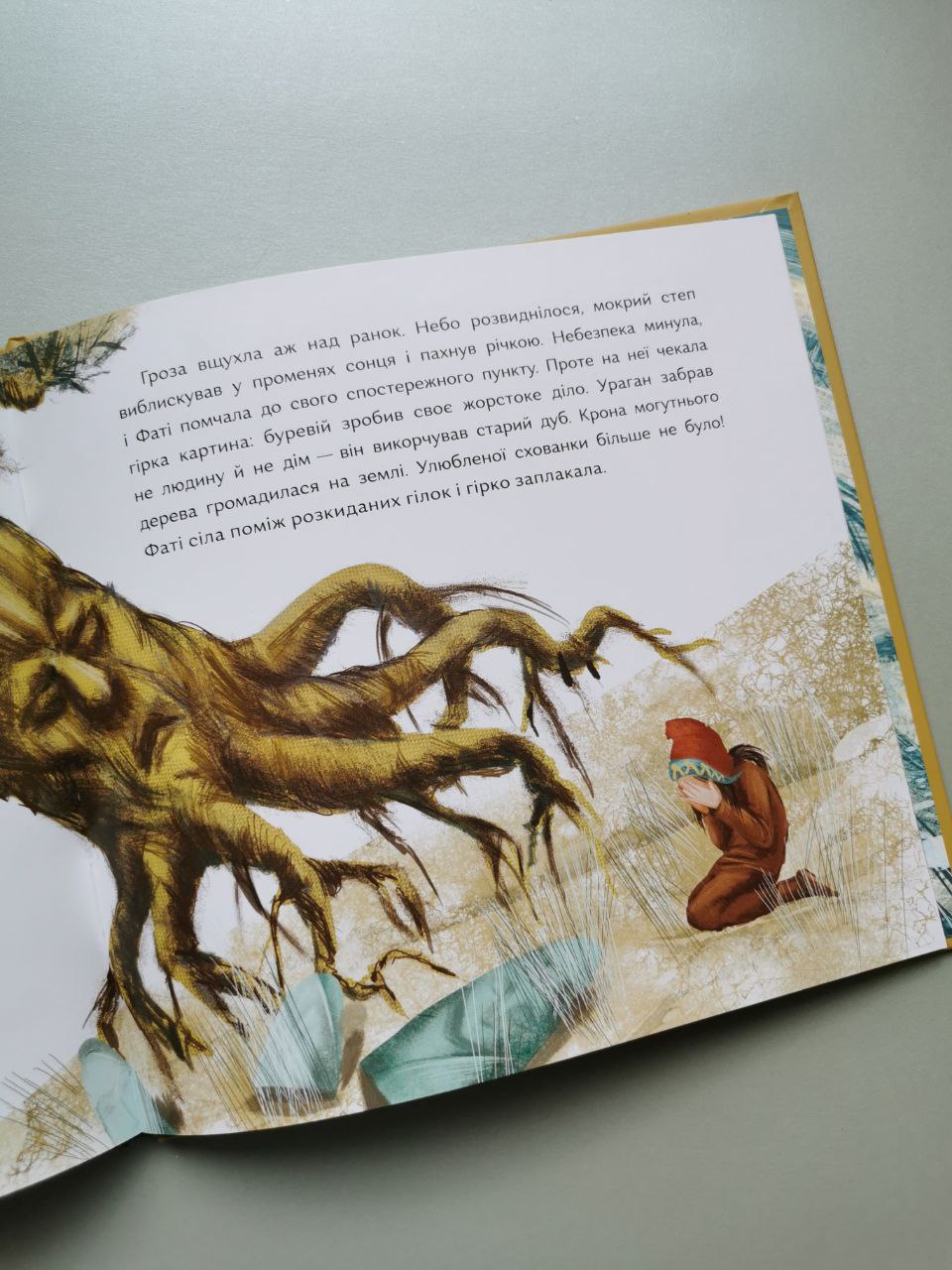 Книга "Стріла степу"