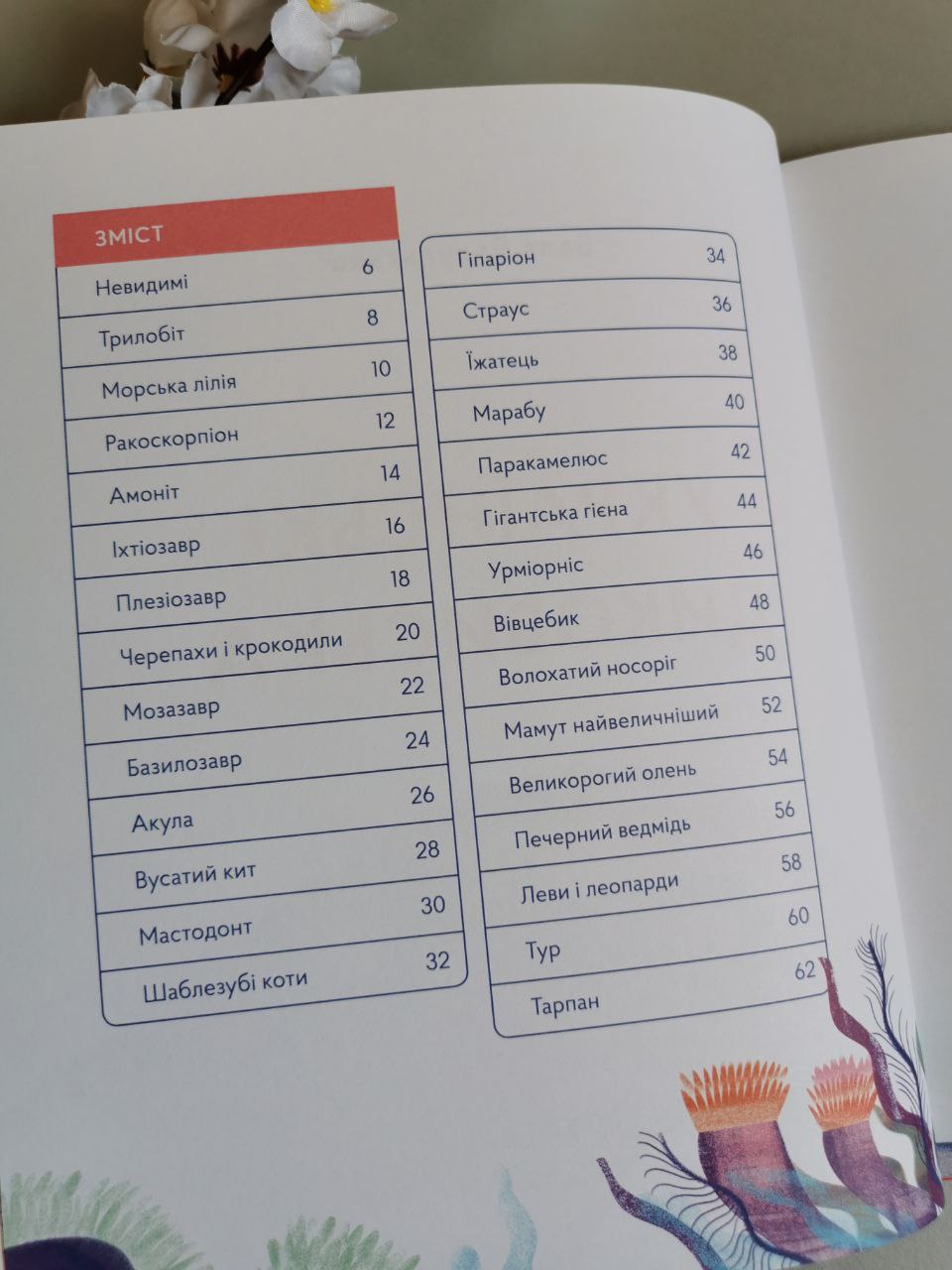 Книга "Українські диковиська"