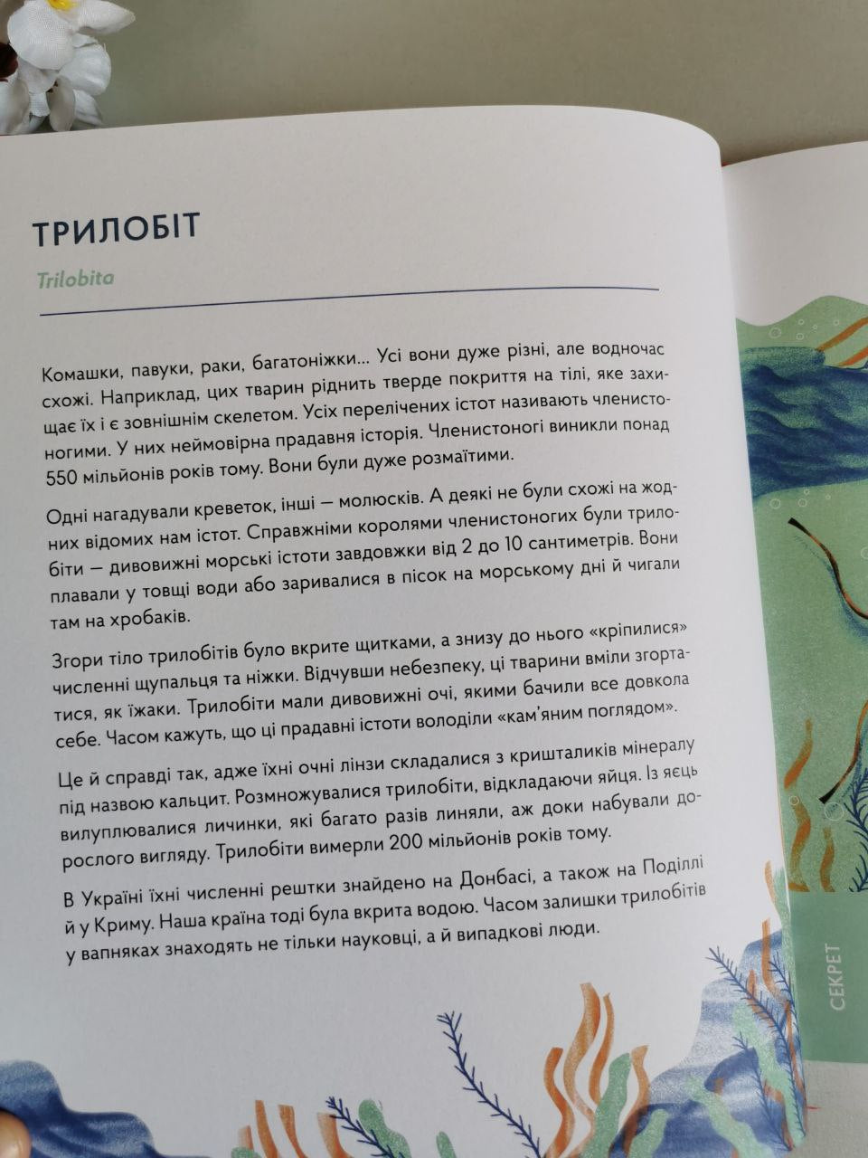 Книга "Українські диковиська"