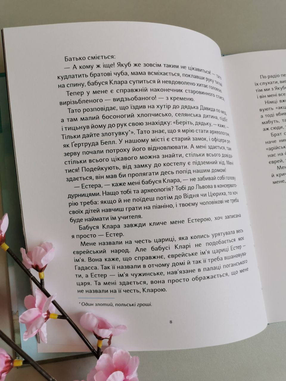 Книга "Ми живемо на краю вулкана"