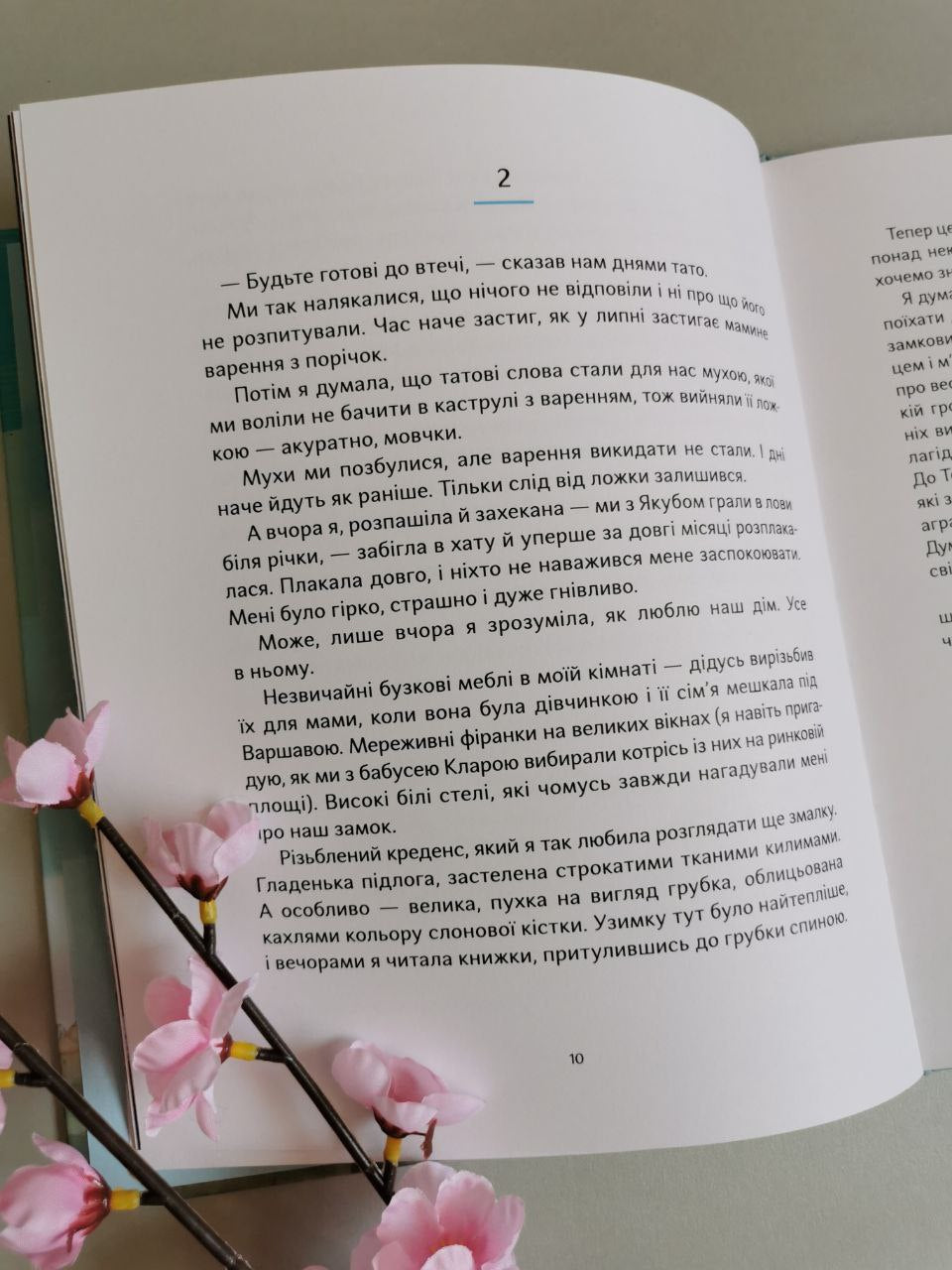 Книга "Ми живемо на краю вулкана"