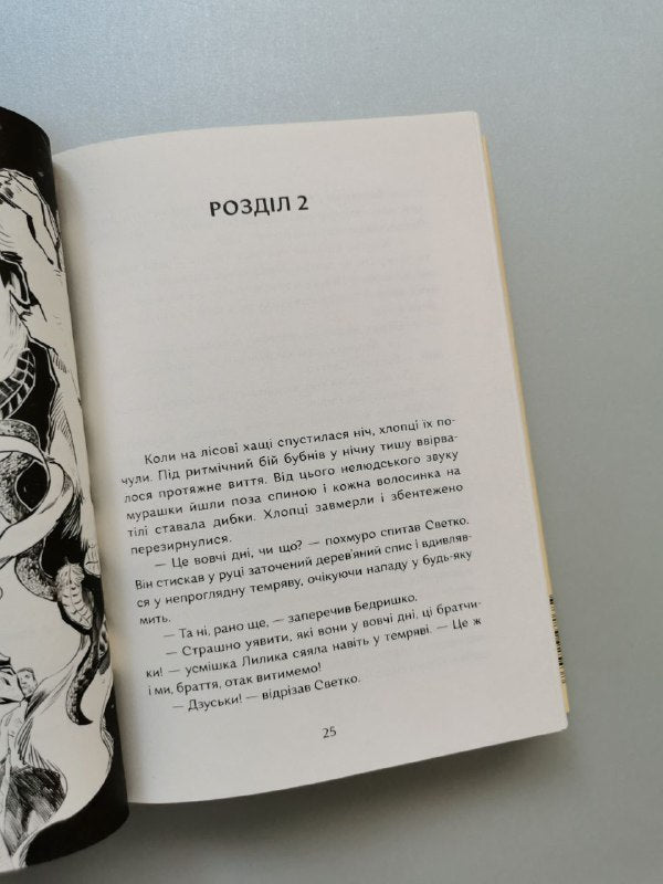 Книга "Хільбудій. Позичене ім'я"