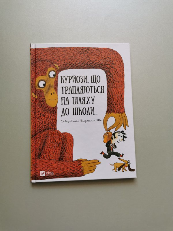 Курйози що трапляються на шляху до школи