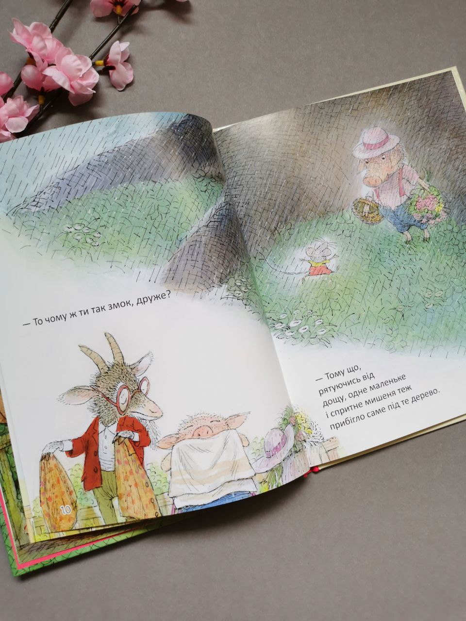 Книжки-картинки: Якось дощової днини (Українська)