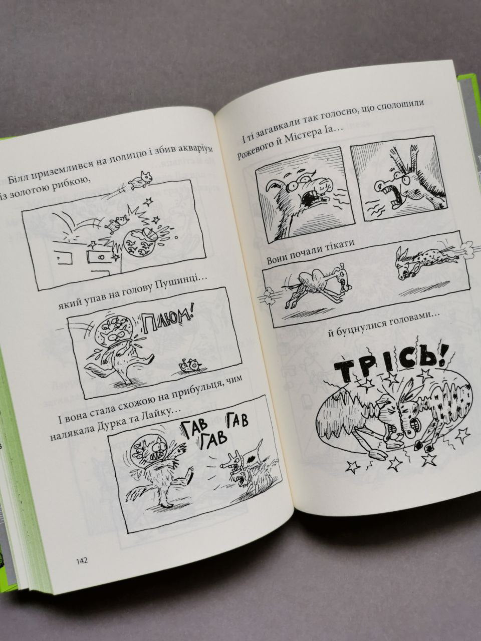 Книга "39-поверховий будинок на дереві"