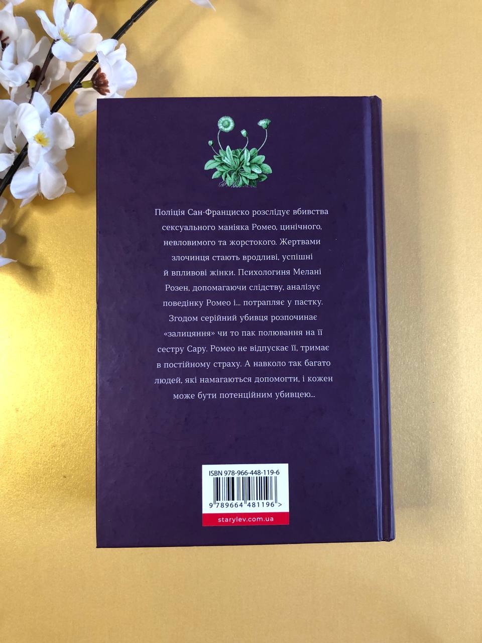 Ромео. Еліз Тайтл