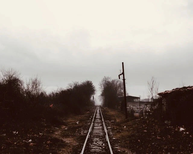 Есеї
