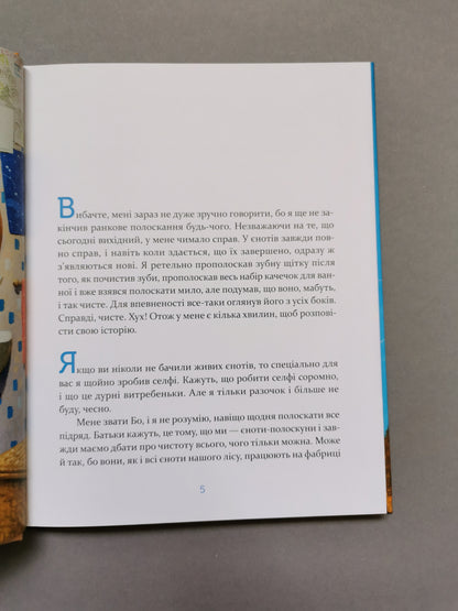 Єнотик Бо і повітряна куля