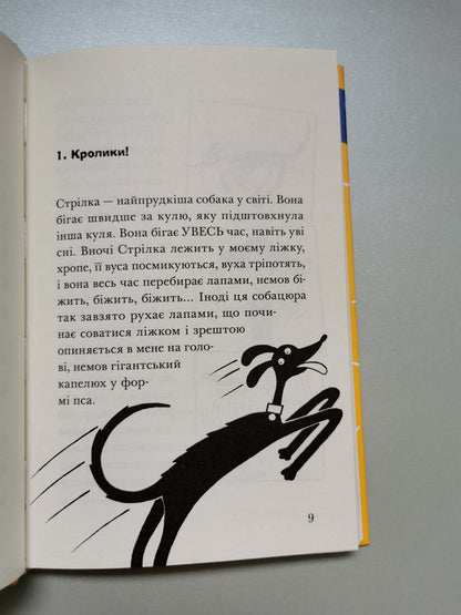 Ракета на чотирьох лапах під прикриттям
