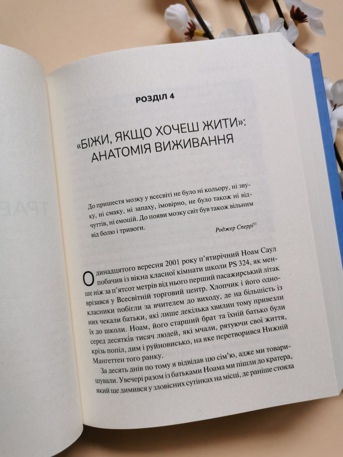 Тіло веде лік. Як лишити психотравми в минулому