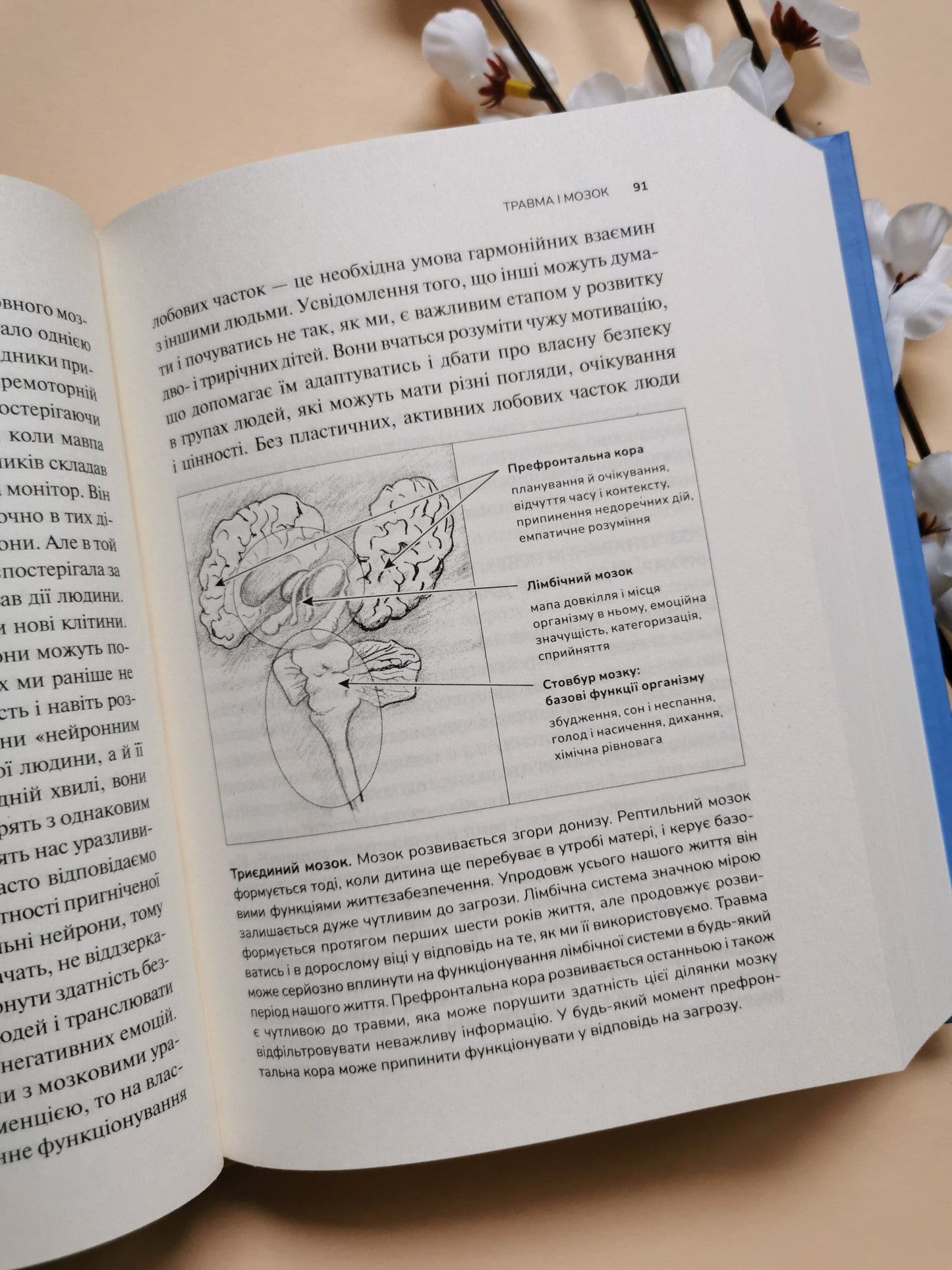 Тіло веде лік. Як лишити психотравми в минулому