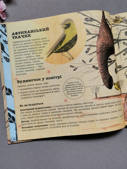 Архітектори у світі тварин. Даніель Нассар