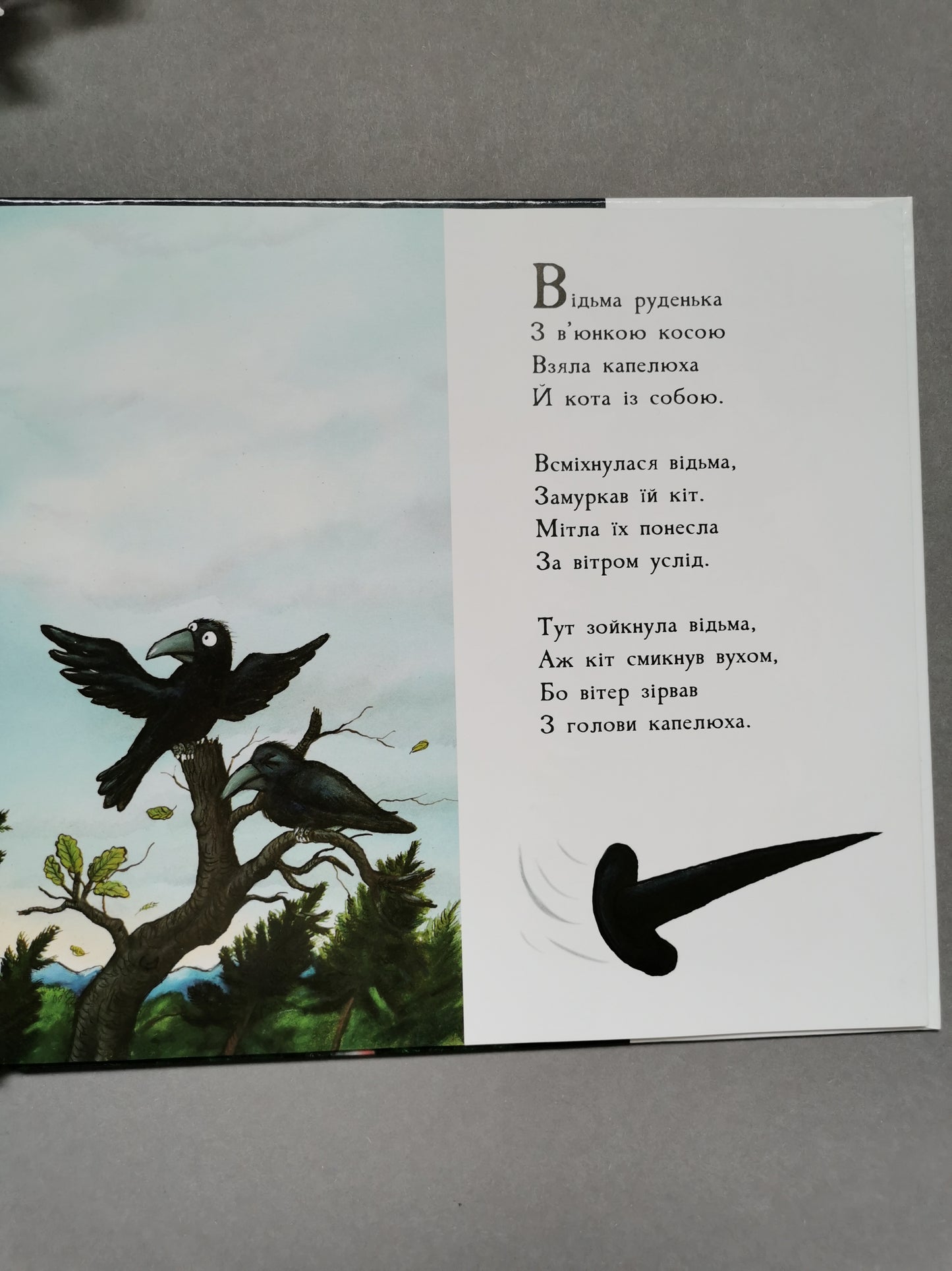Місце на мітлі. Дж. Дональдсон