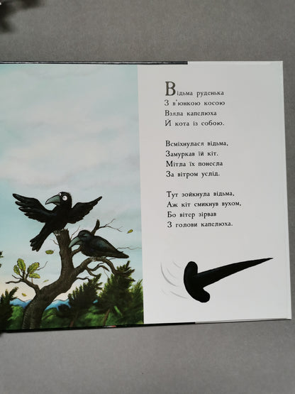 Місце на мітлі. Дж. Дональдсон