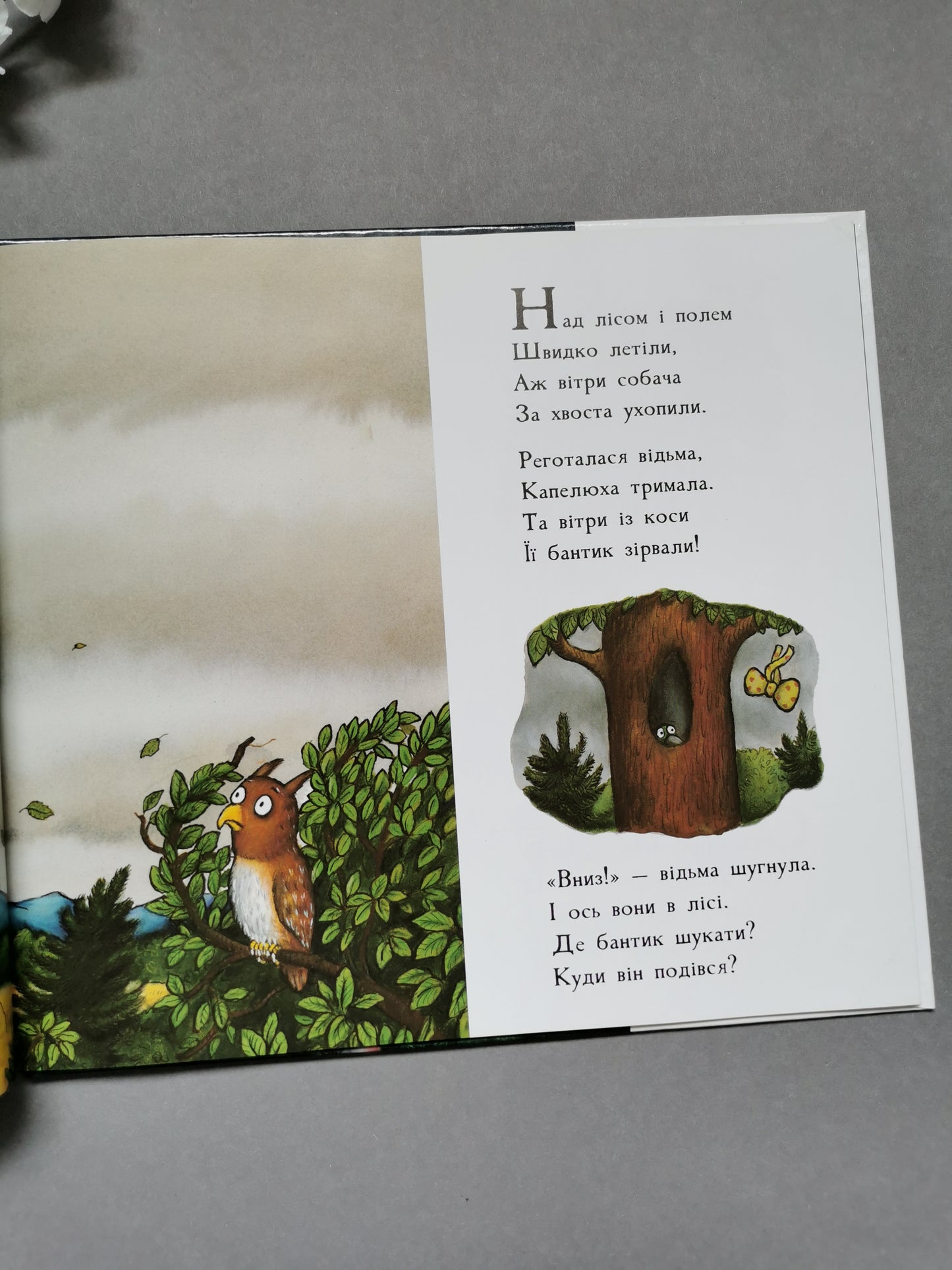 Місце на мітлі. Дж. Дональдсон