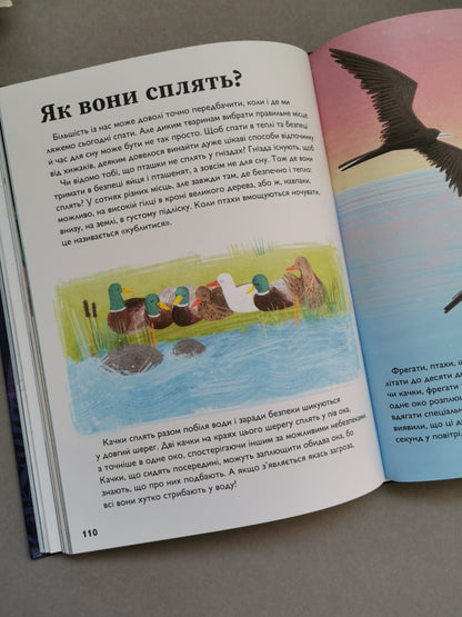 Про сон перед сном