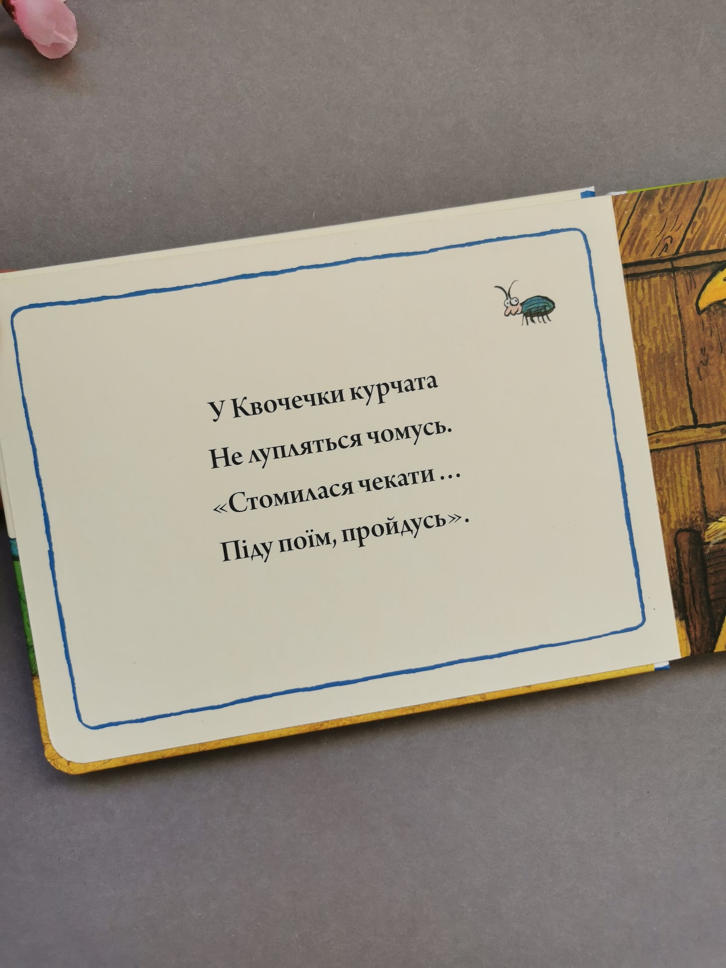 Квочечка