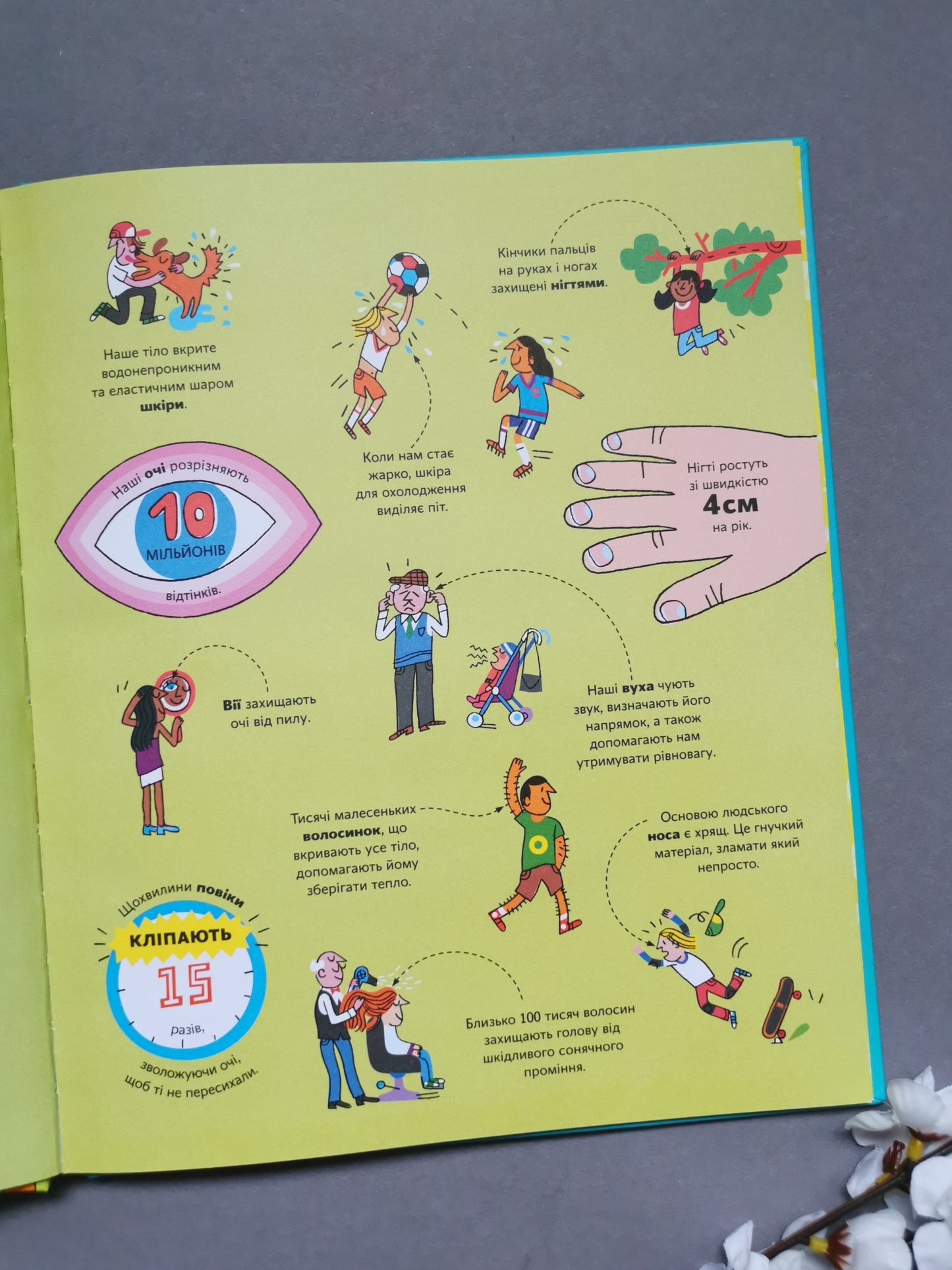 Велика книга про тіло