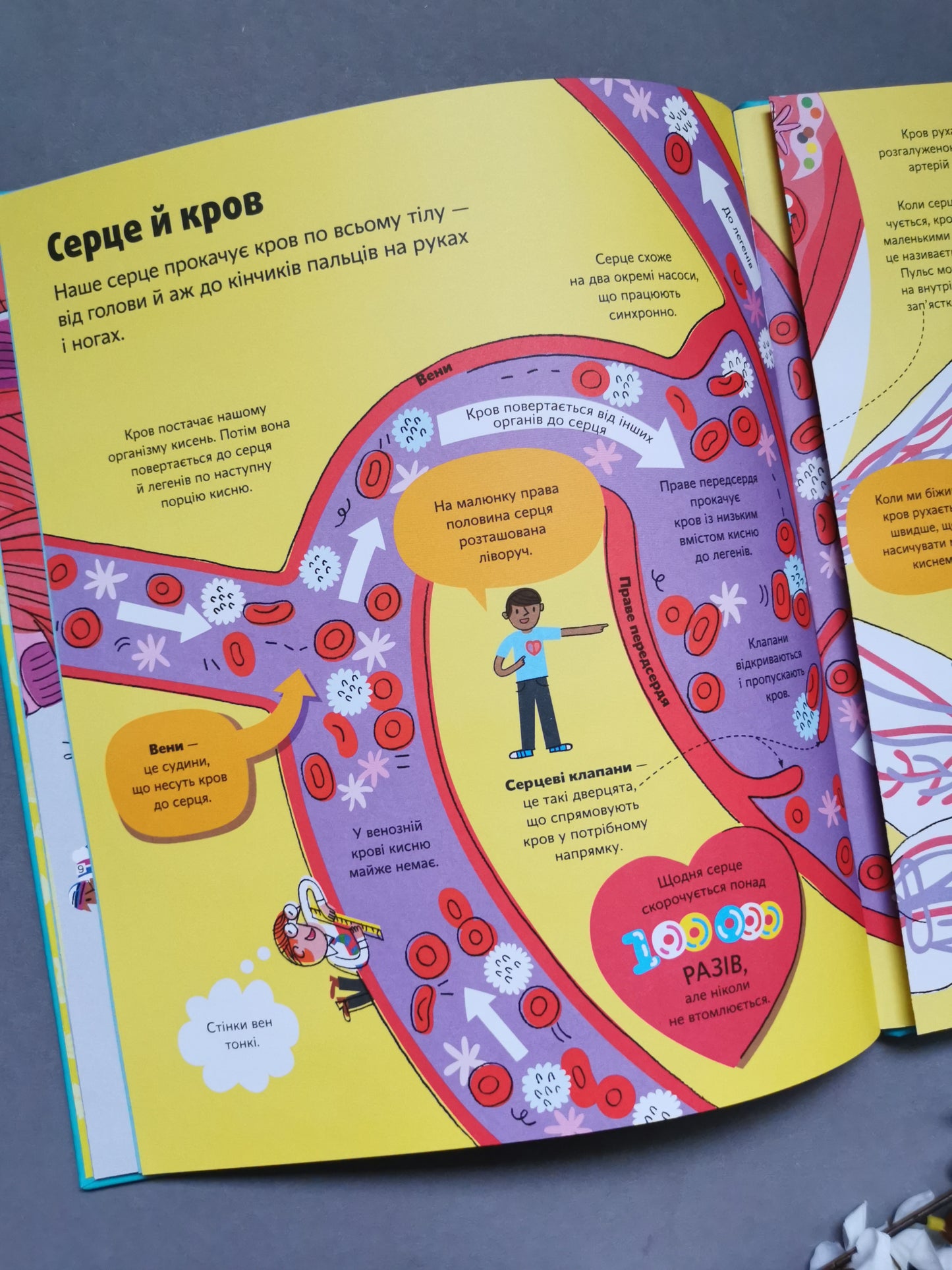 Велика книга про тіло