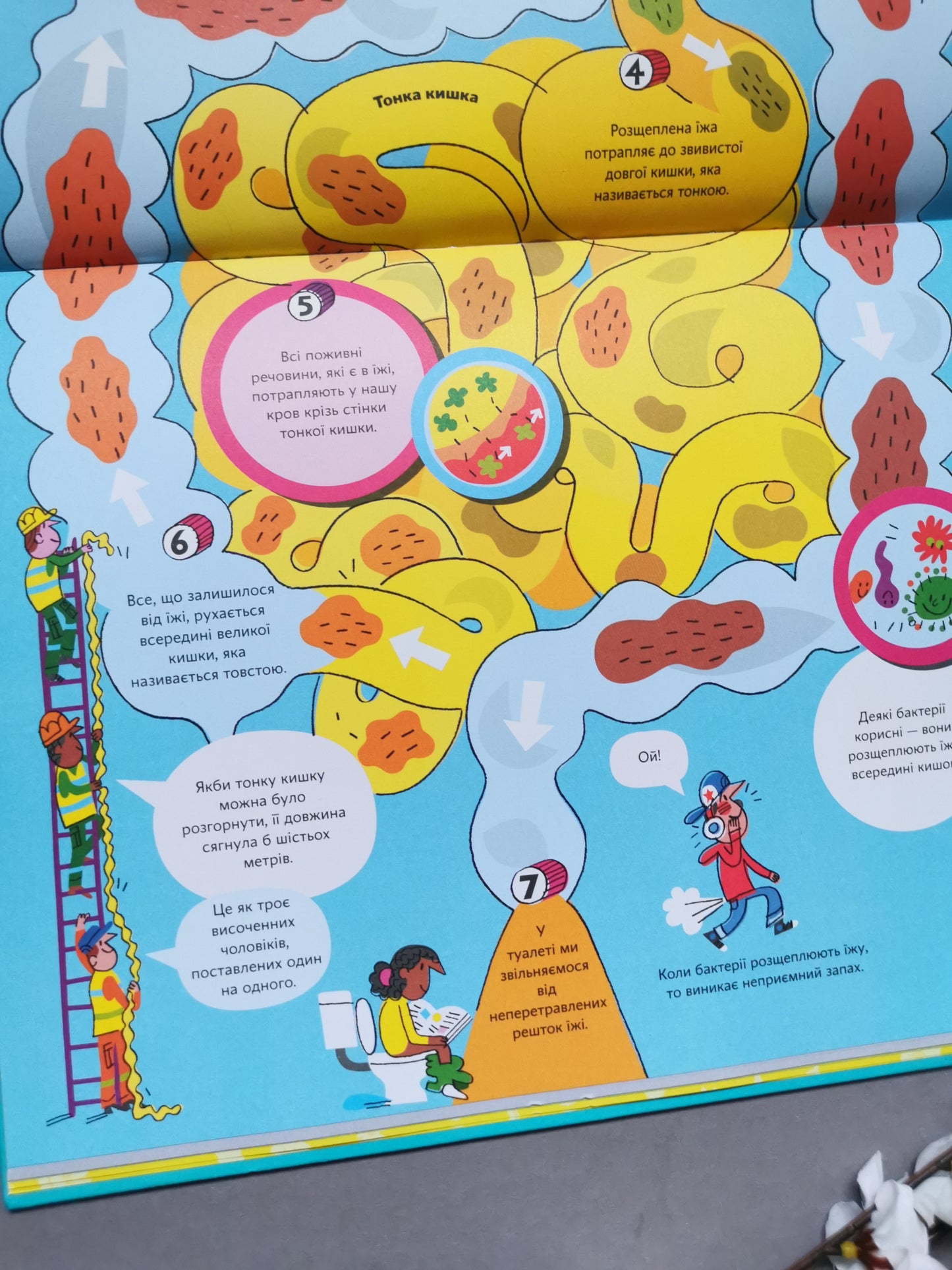 Велика книга про тіло