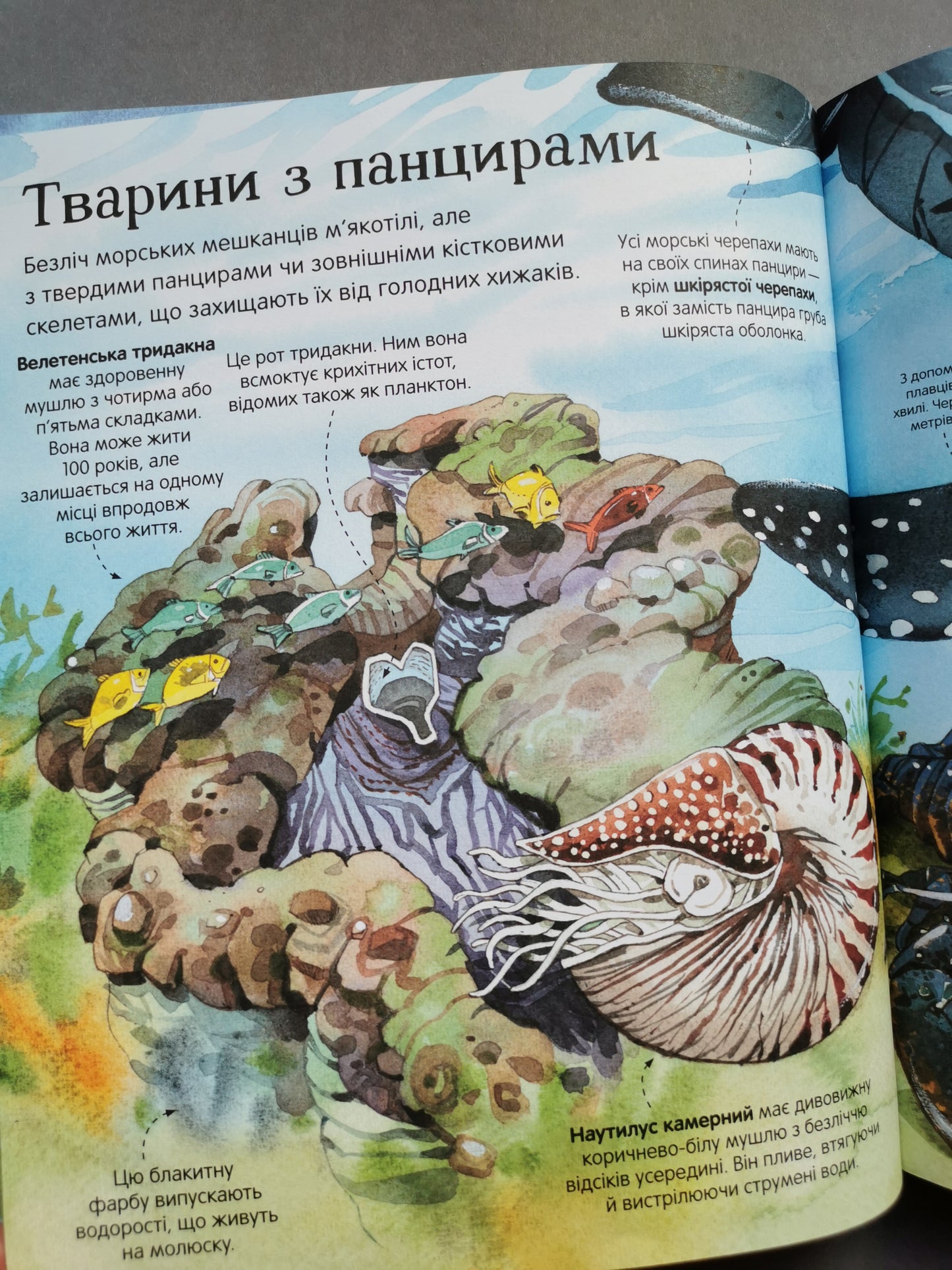 Велика книга морських мешканців