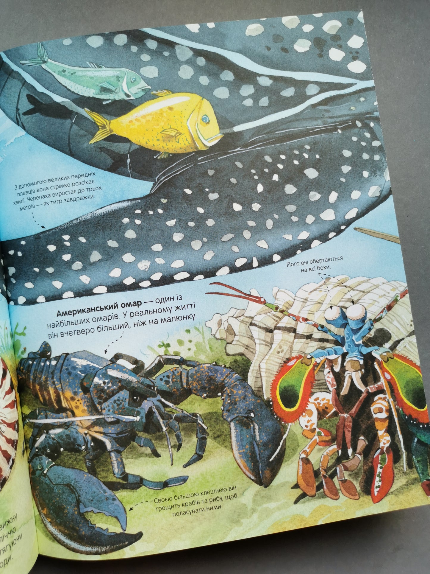 Велика книга морських мешканців