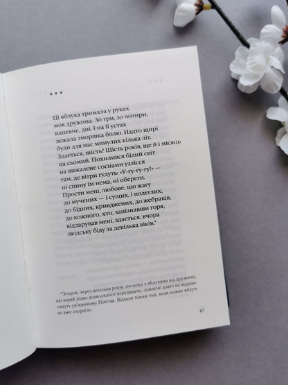 Василь Стус: Палімпсести. Вибране