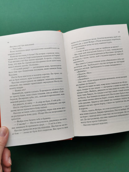 Двір срібного полум'я (Двір шипів і троянд #4)
