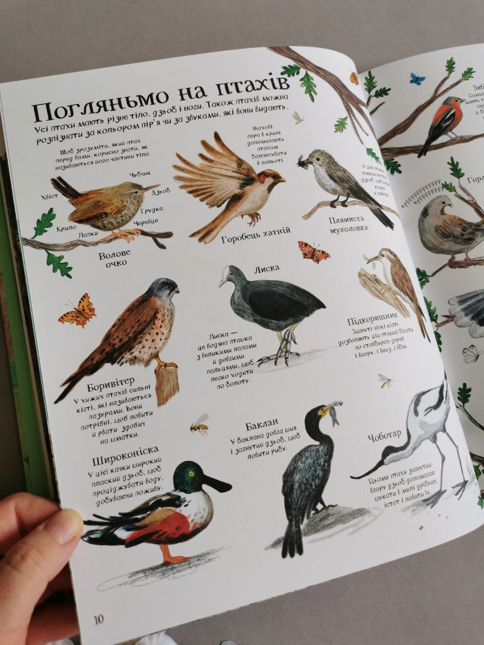 Велика ілюстрована книга ПРО ПРИРОДУ