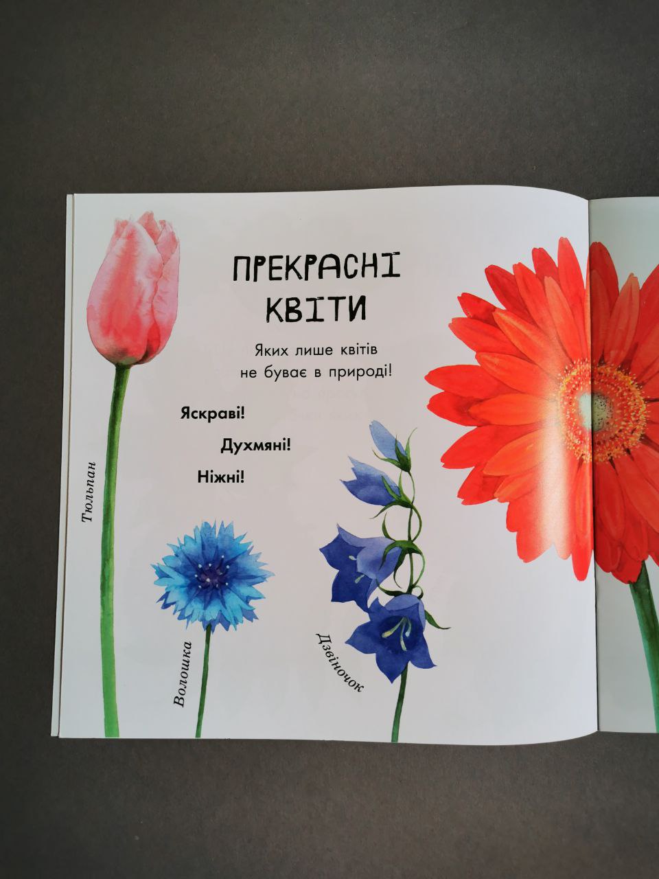 В гостях у природи : Про рослини