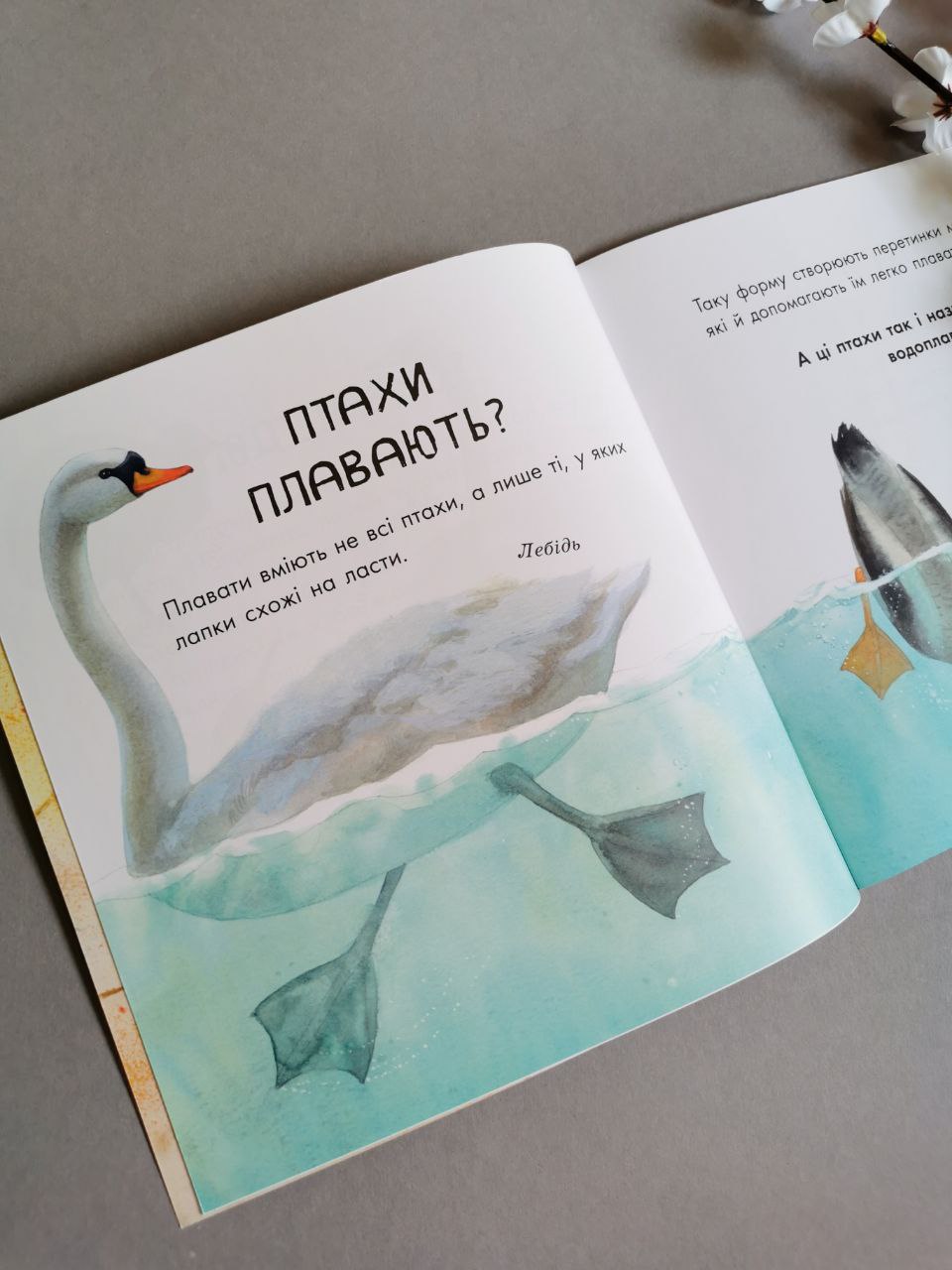 В гостях у природи : Птахи різні та дивовижні