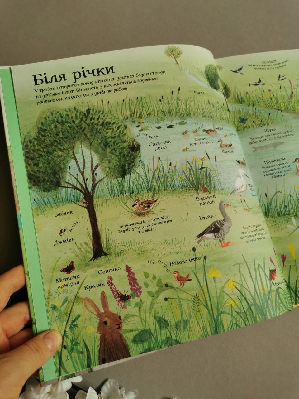 Велика ілюстрована книга ПРО ПРИРОДУ