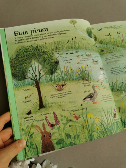 Велика ілюстрована книга ПРО ПРИРОДУ