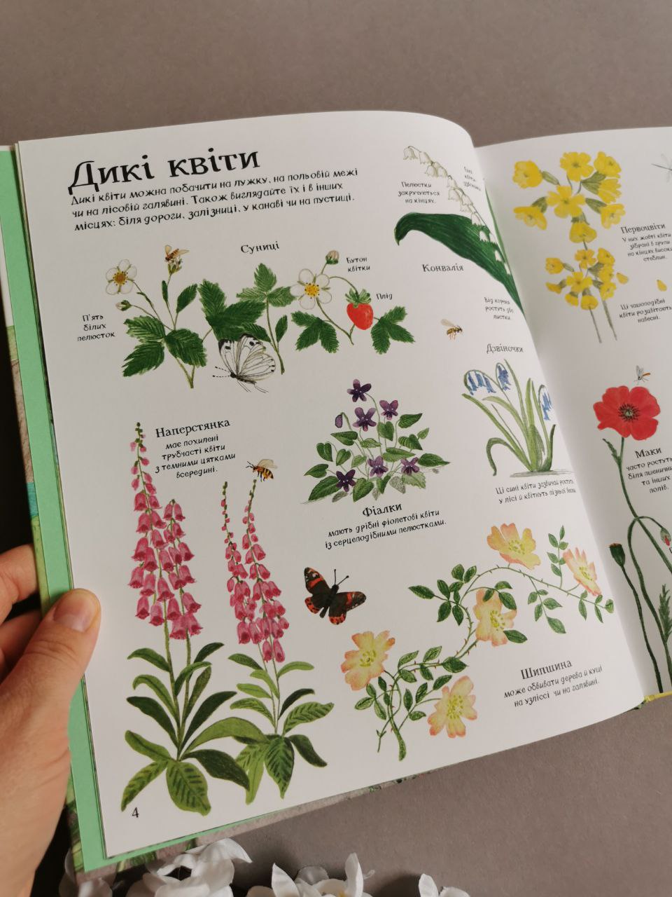 Велика ілюстрована книга ПРО ПРИРОДУ