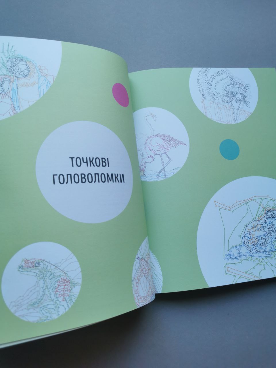 Від точки до точки. Дикий рай